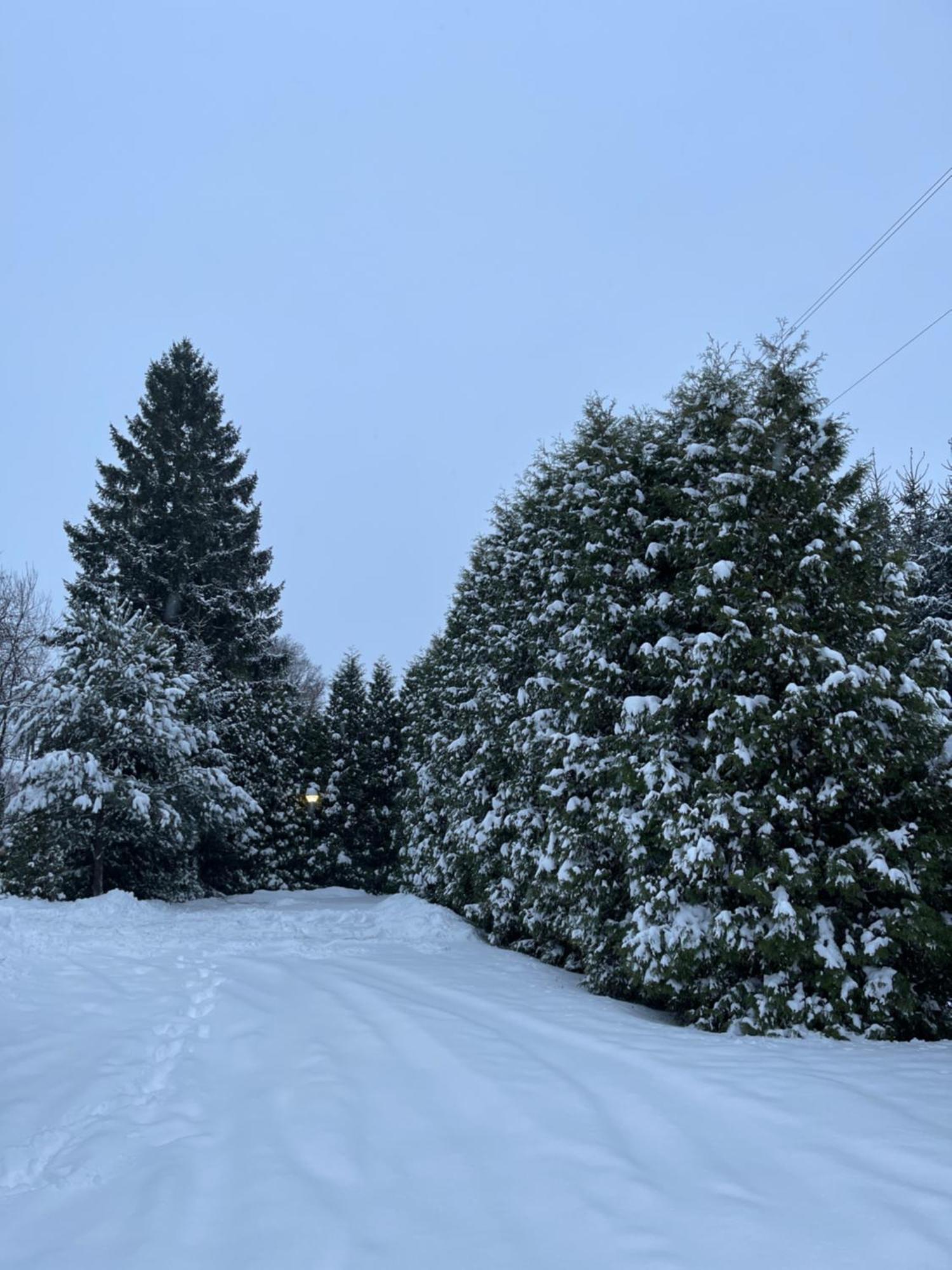 Noclegi-Splywy Bugiem Slawatycze Exterior foto