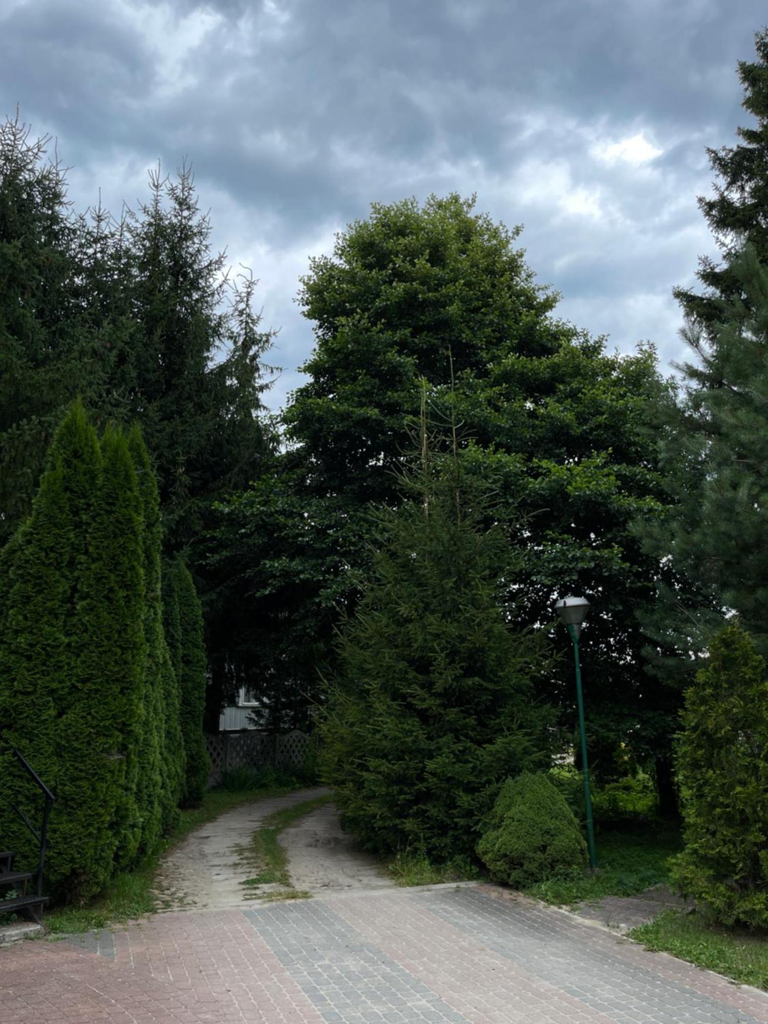 Noclegi-Splywy Bugiem Slawatycze Exterior foto